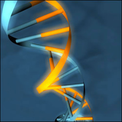 DNA