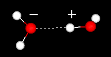 hydrogen bond